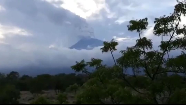 Вид на вулкан с виллы Фадеева ​Фото: Кадр видео