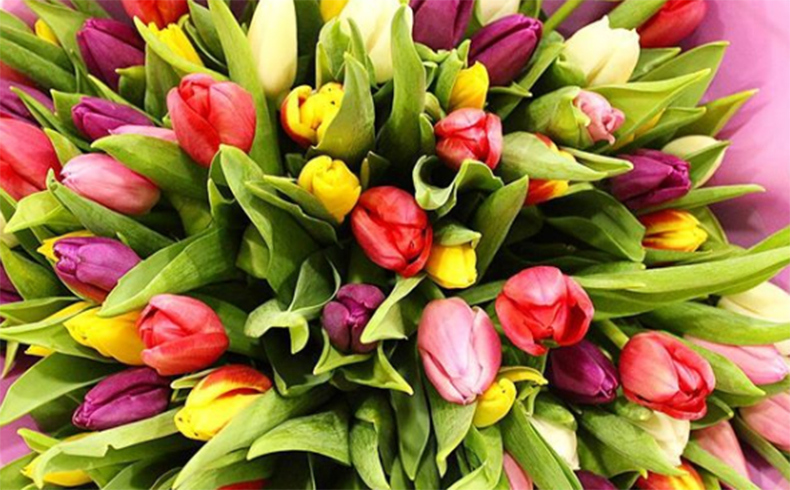 Тюльпаны — цветы, к которым среди женщин нет равнодушных ​Фото: «Инстаграм»  