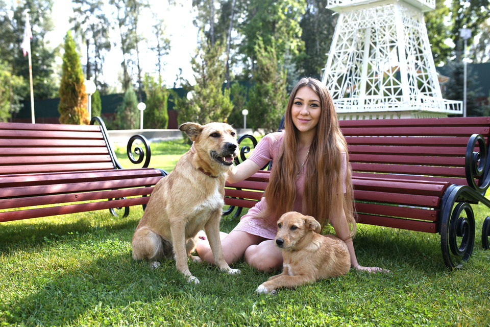 Участница «ДОМа-2» помогает собакам обрести семью.