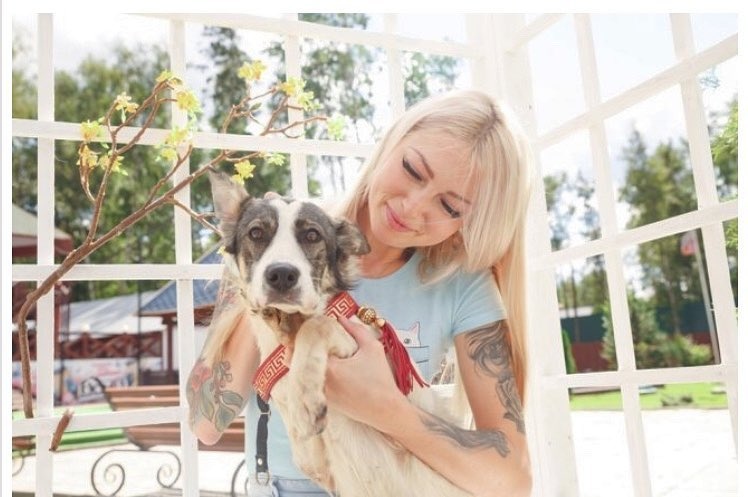Катя Скютте помогает бездомным собакам ​Фото: «Инстаграм» 