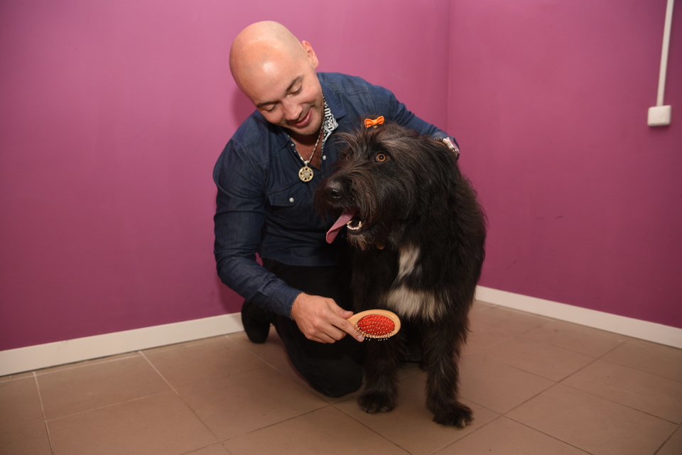 Андрей Черкасов регулярно помогает приюту и навещает собак ​Фото: Маргарита Каррентс 