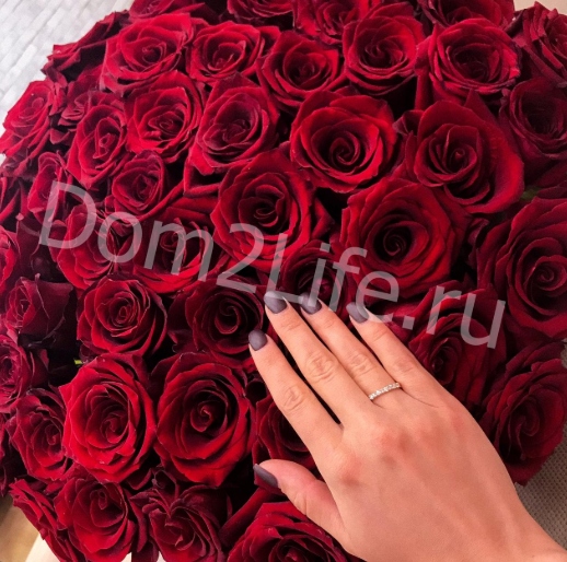 Илья купил Насте кольцо за 100 тысяч Фото: Архив&nbsp;Dom2Life.ru 